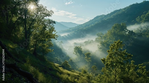 misty morning view of the Appalachian Mountains, serene atmosphere, soft natural light, gentle fog swirling around peaks, soft blues and greens, untouched wilderness.
