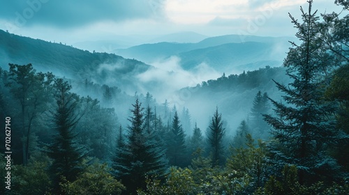 misty morning view of the Appalachian Mountains, serene atmosphere, soft natural light, gentle fog swirling around peaks, soft blues and greens, untouched wilderness. photo