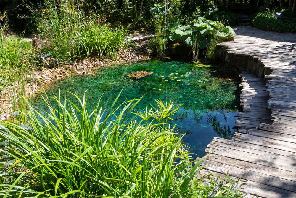 Ecosystème et zone humide - création d'une mare entourée de plantes et d'une terrasse en bois dans un jardin naturel Ecosystème et zone humide - création d'une mare entourée de plantes et d'une terrasse en bois dans un jardin naturel