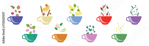 Different Herbal Tea in Cup with Ingredients Vector Set
