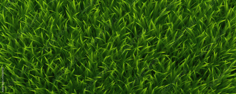 Green grass top view. Grass or lawn wide banner or panorama photo Green grass top view. Grass or lawn wide banner or panorama photo