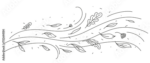 Wind and flying doodle autumn leaves, cartoon vector nature hurricane. Weather storm with wind blow waves and autumn leaves in line art, abstract air flow with oak leaves foliage on windy background #702644184