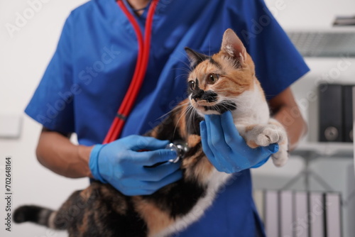 Veterinarian doctor examines beautiful adult cat. Portrait of happy male veterinarian with cute white tabby cat at office. Asian, African veterinarian