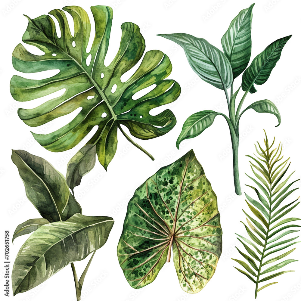 set of  tropical leaves in watercolor style - obrazy, fototapety, plakaty 