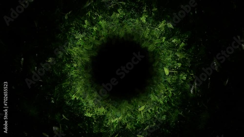 Looped footage of a circular tunnel with lush plants on the walls, illuminated by a traveling light that reveals the greenery as the camera moves forward.