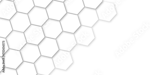 Abstract white background with hexagons and seamless pattern in vector design . luxury white pattern geometric mesh cell texture .