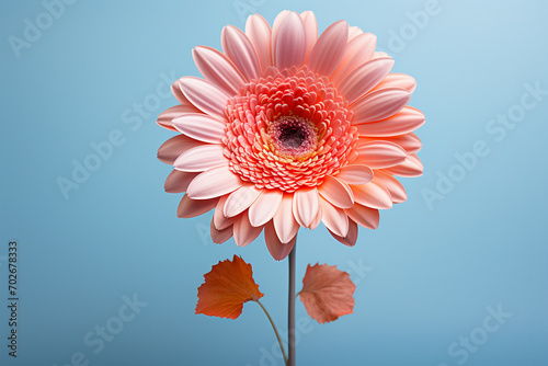 An image of a 3D pastel-colored gerbera  with its cheerful demeanor captured in soft tones.