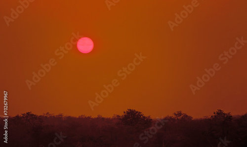 Red sky and pink sun from wildfires over tree crowns in southeastern Africa.