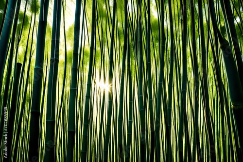 A dense bamboo grove with sunlight filtering through the tall stalks  creating a serene and peaceful atmosphere.