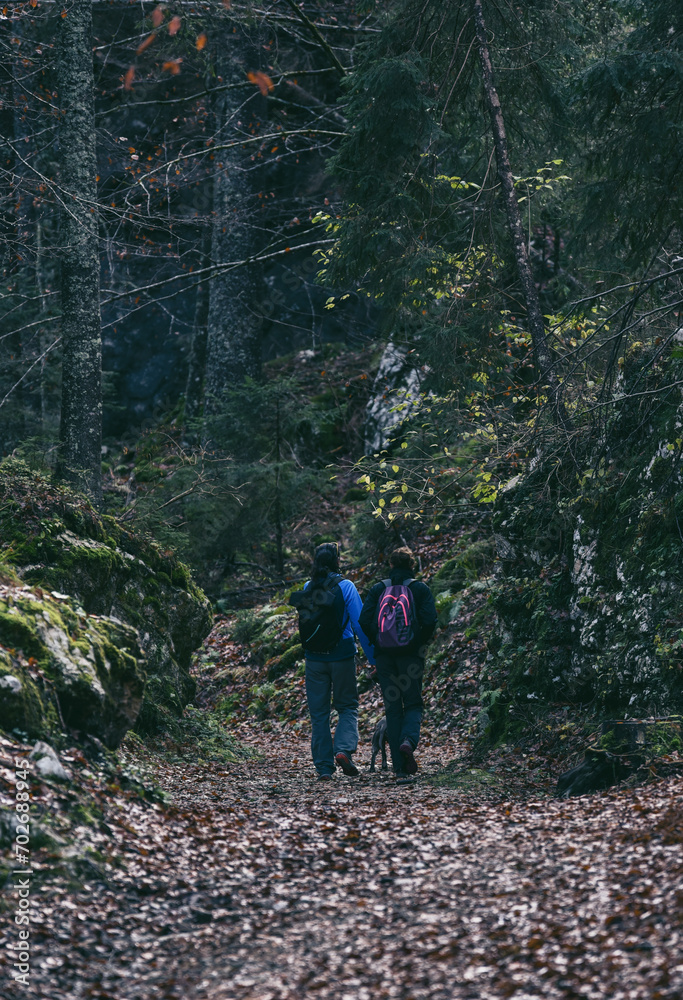 Obraz premium Young couple with a dog hiking in moody forest