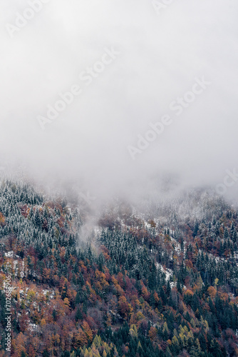 Mountain slope with misty forest and snow on cold autumn day © Wirestock