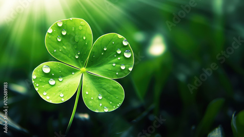 Four Leaf Clover