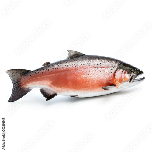 Salmon isolated on white background