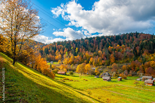 A slope with trees and a green plain at the foot of the mountain. Autumn sunny landscape