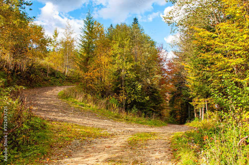 Obraz premium Branching of the mountain road. Autumn landscape with a mountain road
