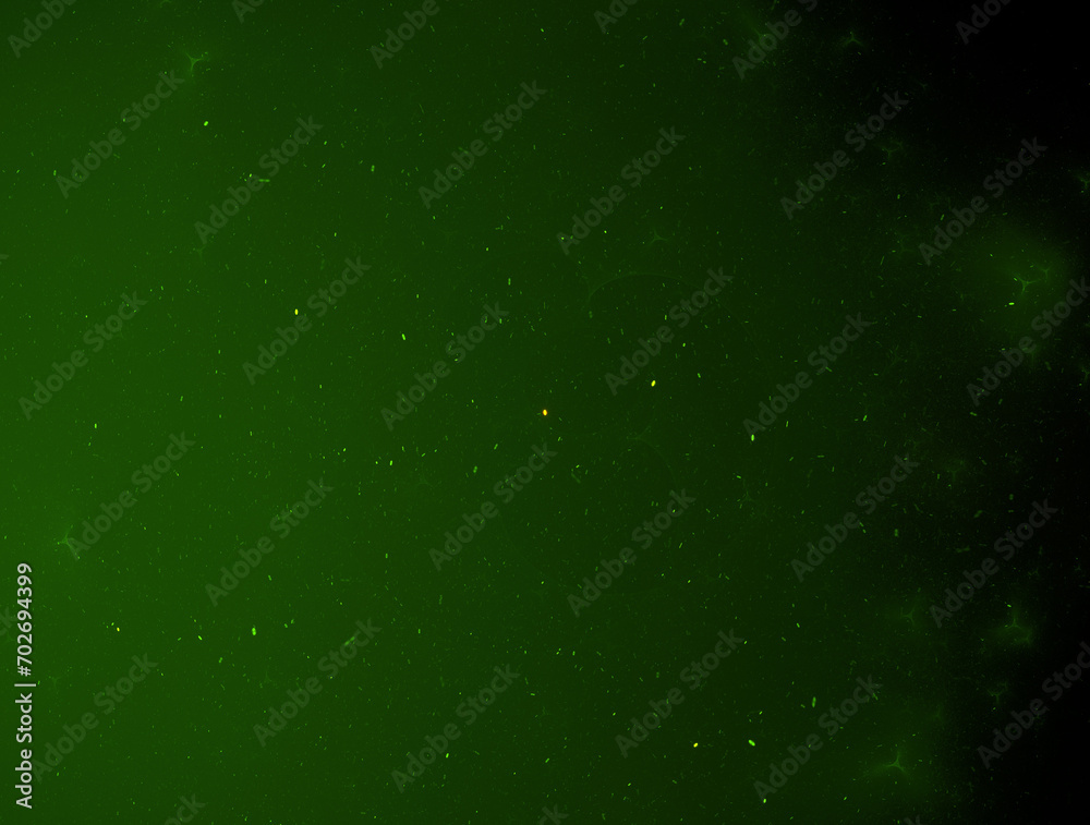 Obraz premium Imaginatory fractal abstract background Image