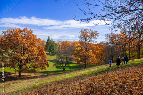 Autumn landscape  yellow trees on the background of green grass and blue sky. Part of the park with slopes and