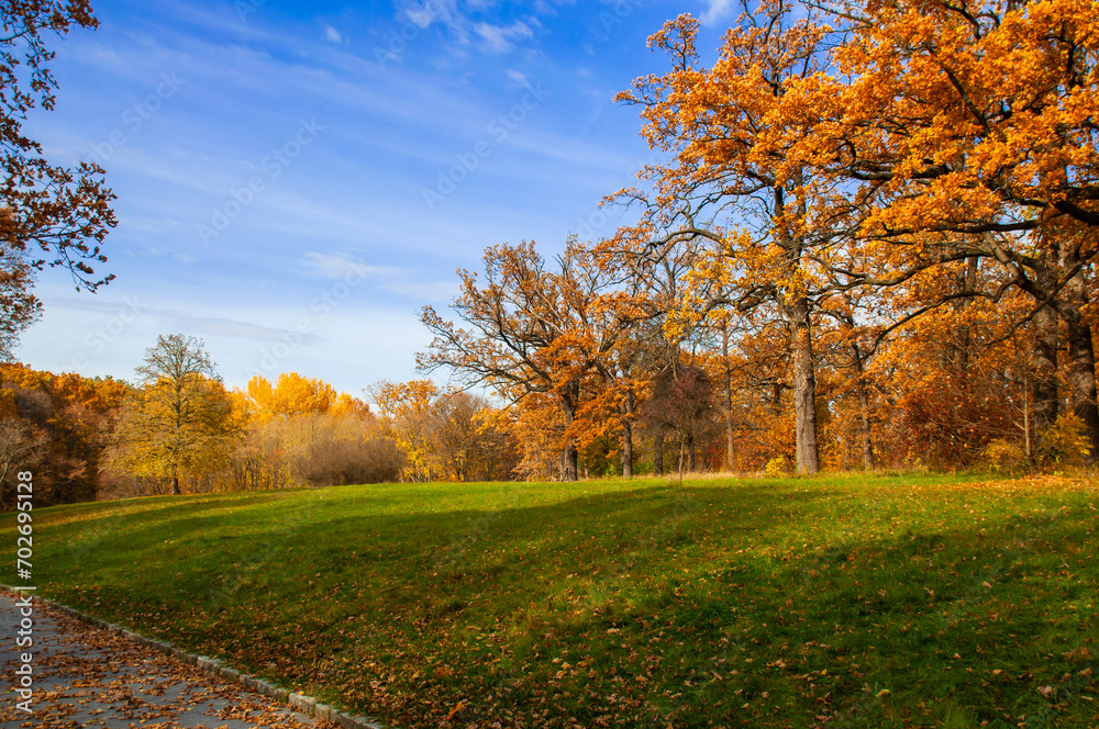 Lawn in the park with green grass and trees with orange leaves against the blue sky