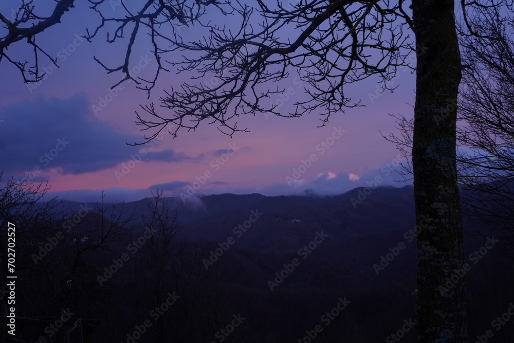 tramonto nuvoloso con cielo colorato e magico di inverno, alberi secchi, Torriglia, liguria tramonto nuvoloso con cielo colorato e magico di inverno, alberi secchi, Torriglia, liguria
