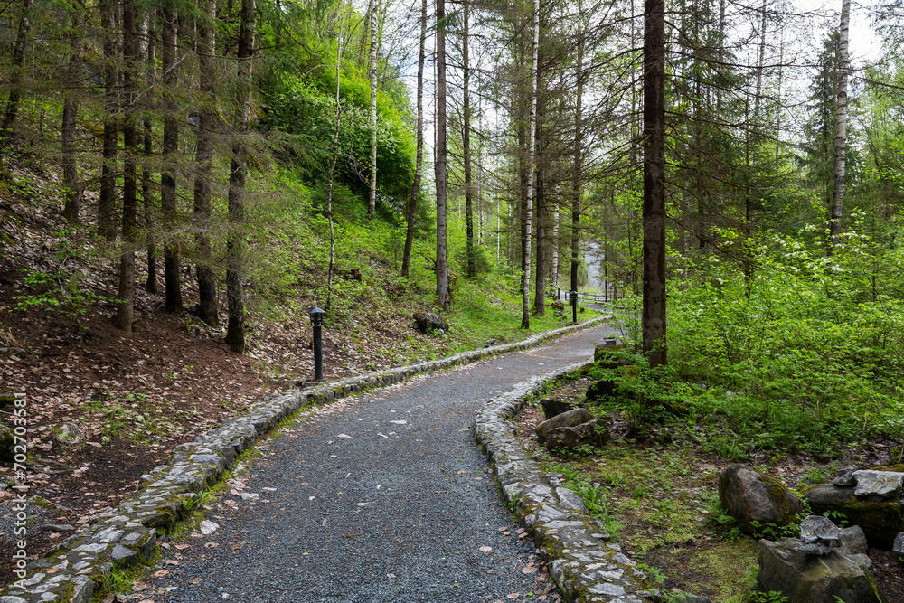 View of the forest in the mountain park of Ruskeala View of the forest in the mountain park of Ruskeala