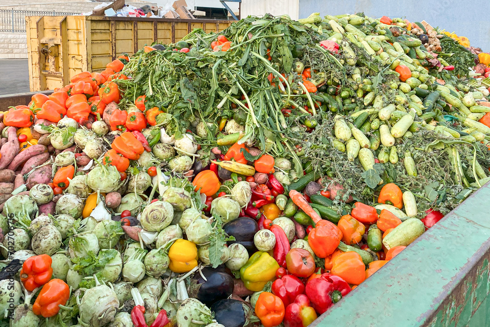 Heap of Mix expired Vegetables and fruits at harvest time. Organic bio waste in a huge container, Organic Compost.