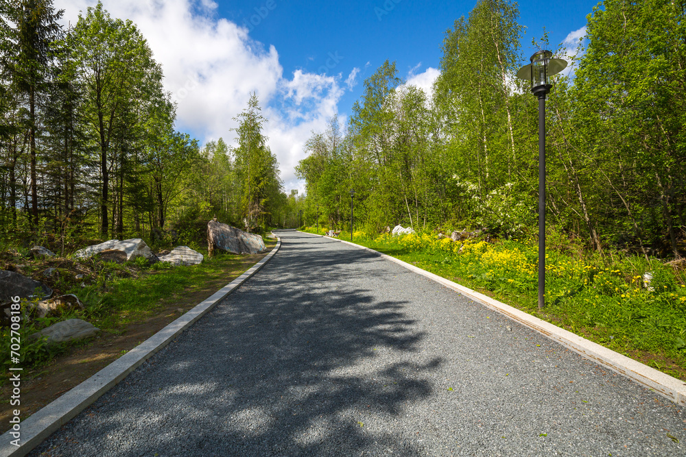 View of the forest in Karelia