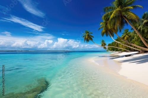 A panoramic view of a tropical beach with turquoise waters and palm trees 