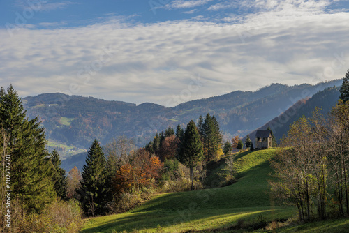 Bellissima vista close up dell'ambiente vicino a Zakriž, un piccolo paese di bassa montagna vicino a Cerkno, nella Slovenia occidentale, durante una nuvolosa mattina in autunno © PhotoMet