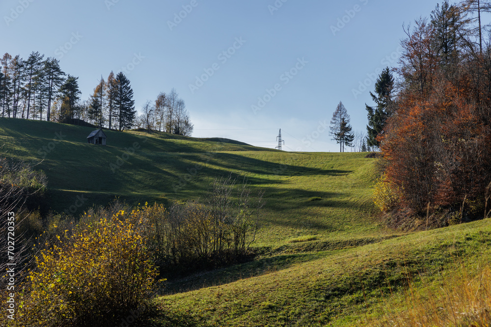 vista panoramica su di un bellissimo ambiente naturale e su di un prato verde, in Slovenia, circondato da alberi ed illuminato parzialmente dalla luce del sole, con lunghe ombre degli alberi