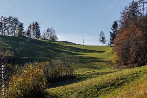 vista panoramica su di un bellissimo ambiente naturale e su di un prato verde  in Slovenia  circondato da alberi ed illuminato parzialmente dalla luce del sole  con lunghe ombre degli alberi