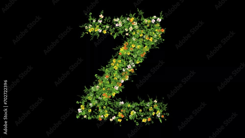 English alphabet Z with grass and colorful flowers on plain black background English alphabet Z with grass and colorful flowers on plain black background