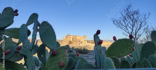 The Capitol Temples (Capitolium), Roman ruins of Sbeitla (Sufetula), Tunisia, North Africa 2024 photo