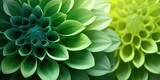 Macro of green flower petals for greetings background