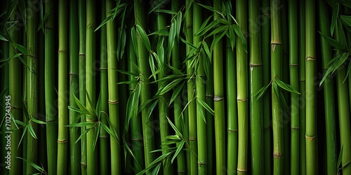 Bamboo forest green background - Japan nature. Sagano Bamboo Grove of Arashiyama.