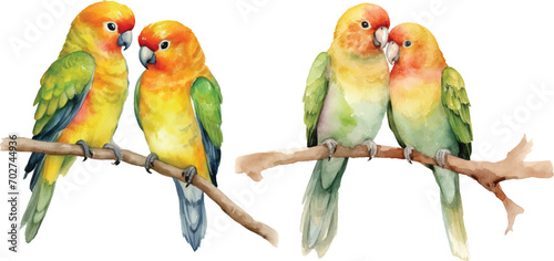 cute Watercolor A pair of Lovebirds photo