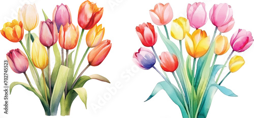 Cute Watercolor tulips #702745523