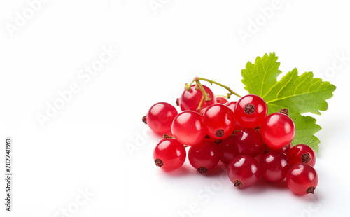Currant isolated on white background