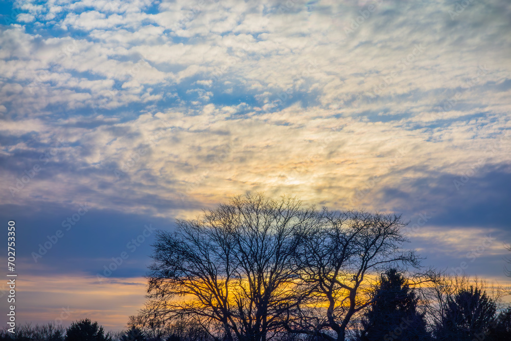 Scenic view of the bare trees under cloudy blue sky at sunset