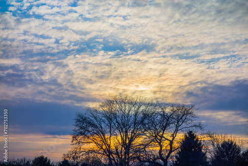 Scenic view of the bare trees under cloudy blue sky at sunset