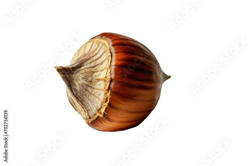 Close up of Hazelnuts isolated on transparent png background, types of nuts concept, popular nutrients and high protein snack, essential fiber and healthy fats.
