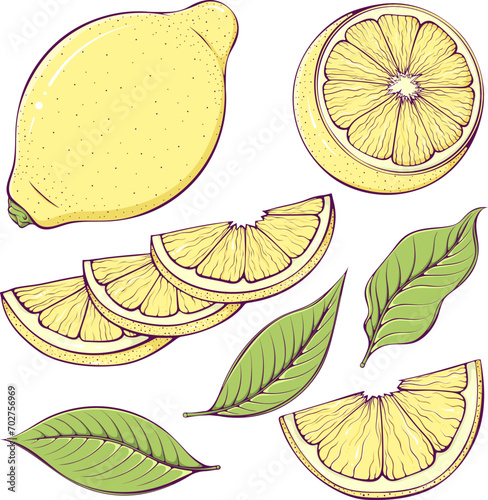 Set of colorful lemons with leaves. Ripe lemon half, whole and slices sour fruit. Vector illustration in cartoon style isolated on white. Natural and healthy food