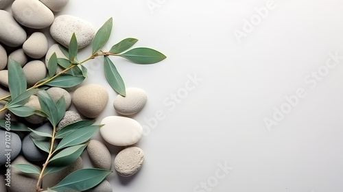 A branch of olive leaves and stones on a white background. This versatile asset is suitable for various designs like wellness and spa, nature and environment, and Mediterranean-inspired themes. 