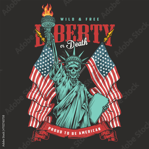 USA blazon vintage sticker colorful