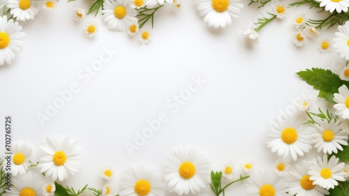 frame of daisies top view, flat lay, spring background, place for text © VIK