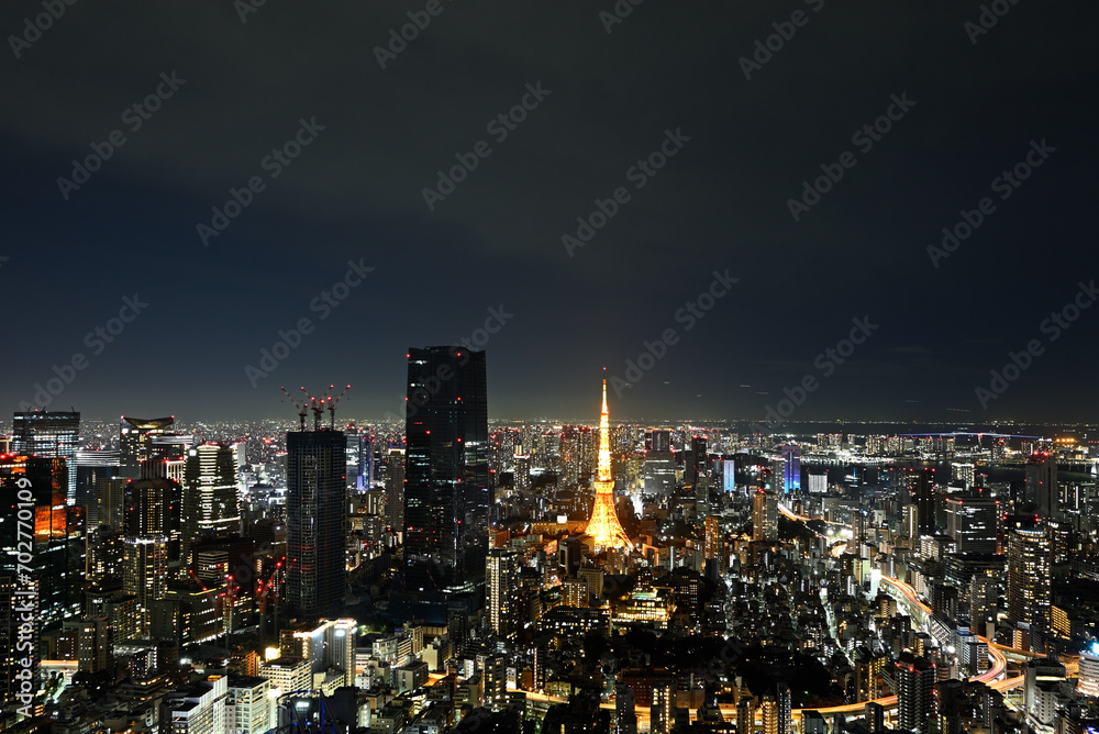 night view of Tokyo from Roppongi Hills