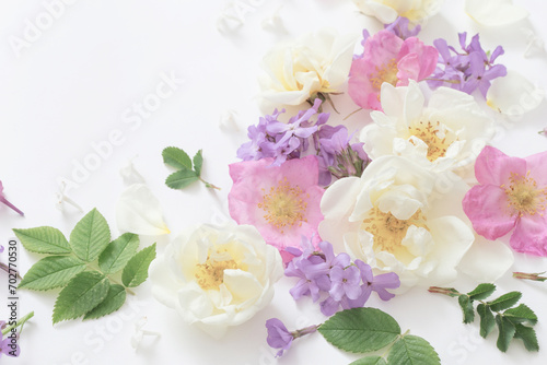 summer flowers on white background © Maya Kruchancova