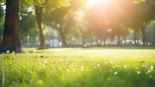 Blur fresh green grass and tree field natural backdrop summer bright space for products advertising montage background.