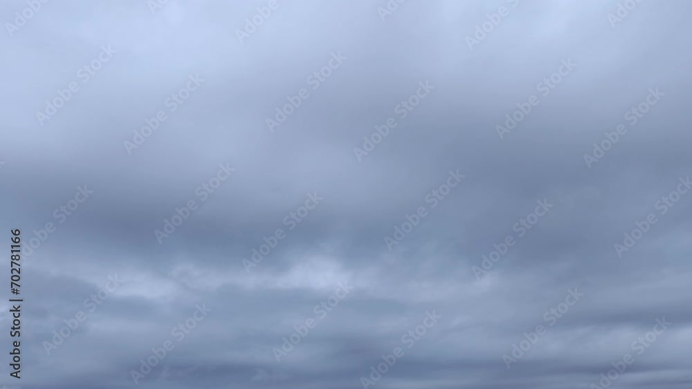 Birds fly fearlessly around a sky with storm clouds Birds fly fearlessly around a sky with storm clouds