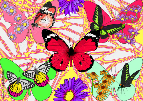 butterflies and flowers