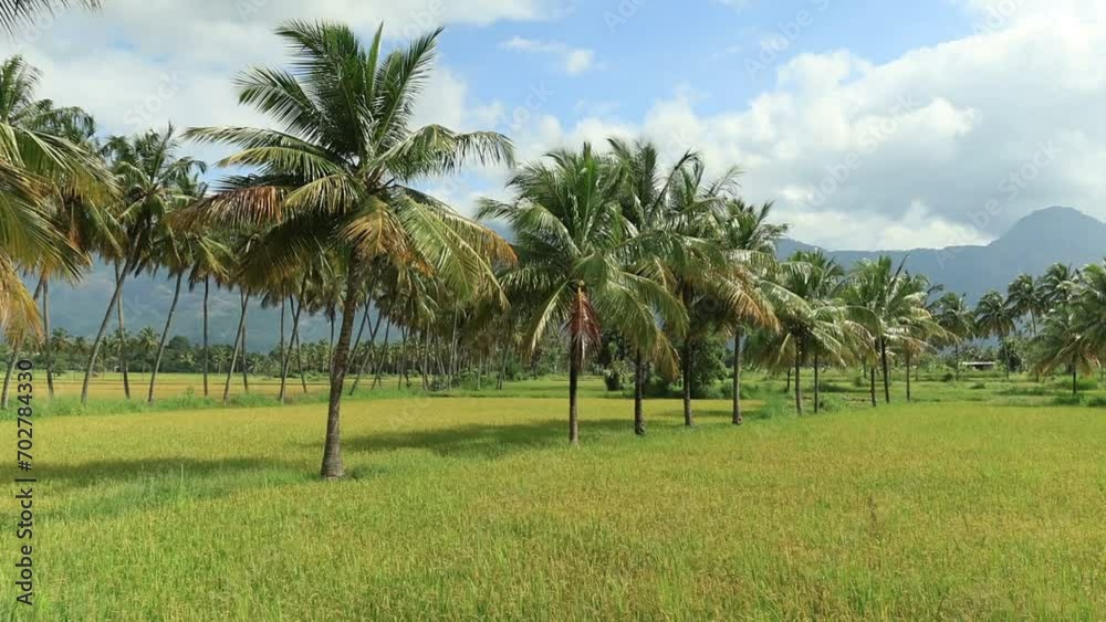 Kollengode,Palakkad- A Border village in Palakkad District Famous for its beautiful vast stretch of paddy fields and waterfalls Kollengode,Palakkad- A Border village in Palakkad District Famous for its beautiful vast stretch of paddy fields and waterfalls